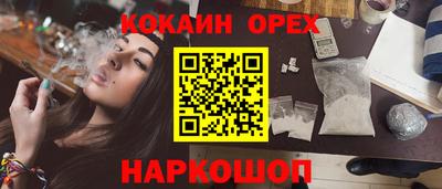 бошки Кингисепп