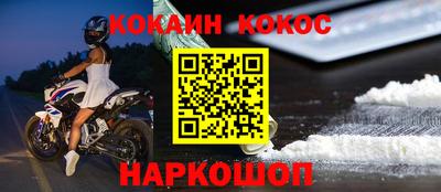 бошки Кингисепп