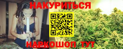 бошки Кингисепп