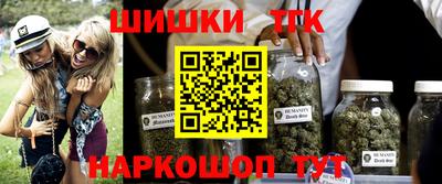 бошки Кингисепп