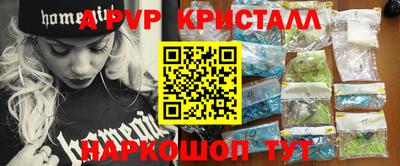 бошки Кингисепп