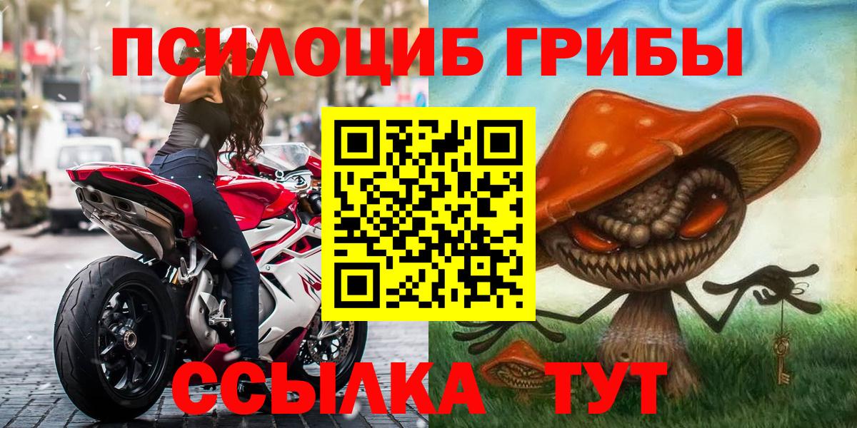 Галлюциногенные грибы мицелий Коммунар