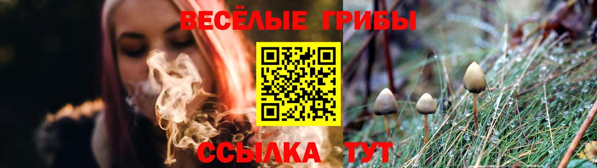 Коммунар  Галлюциногенные грибы Psilocybine cubensis  Вход с VPN 